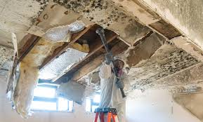 Best Asbestos and Lead Testing During Mold Inspection  in Sullivans Island, SC